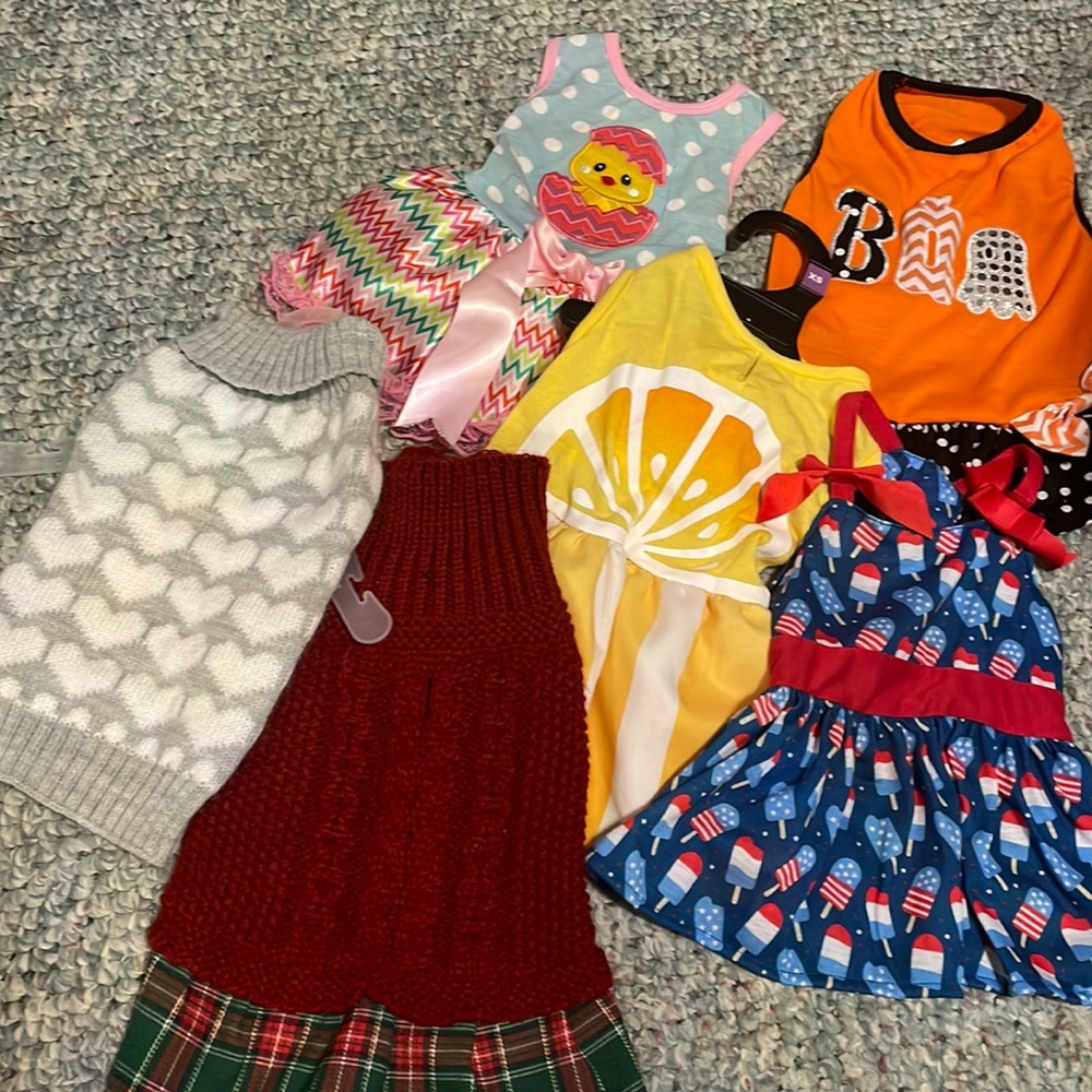 Dog clothes bundle